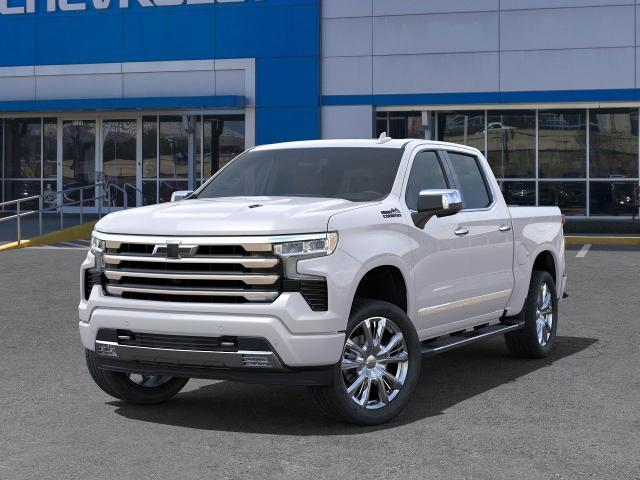 2025 Chevrolet Silverado 1500 Vehicle Photo in HOUSTON, TX 77054-4802