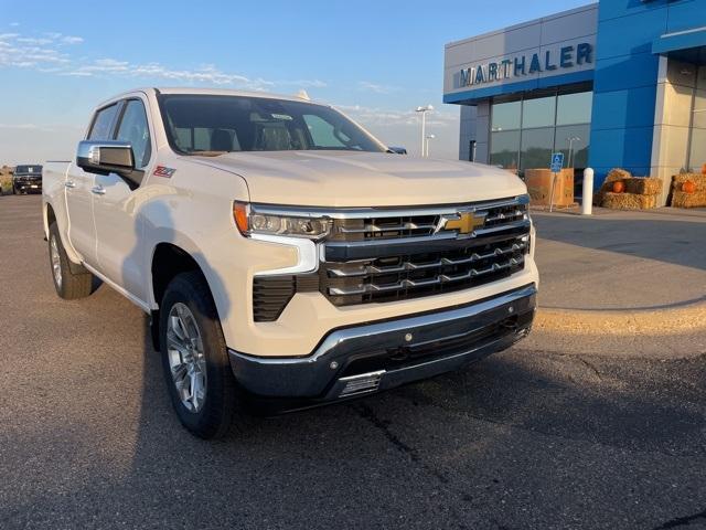 2025 Chevrolet Silverado 1500 Vehicle Photo in GLENWOOD, MN 56334-1123