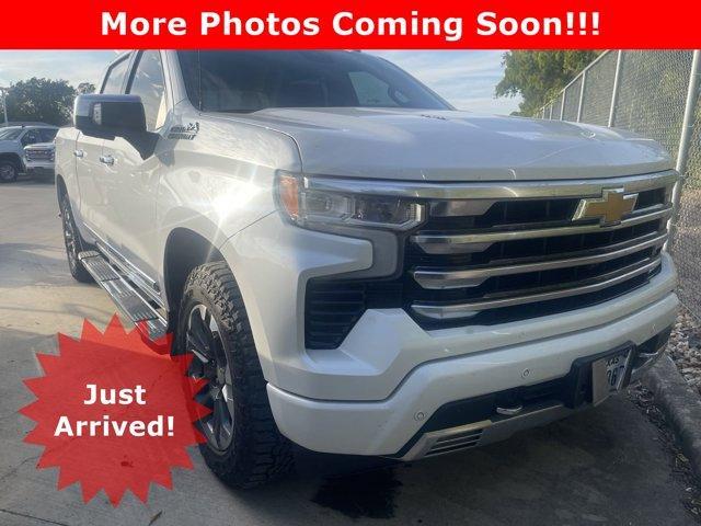 2023 Chevrolet Silverado 1500 Vehicle Photo in SELMA, TX 78154-1460