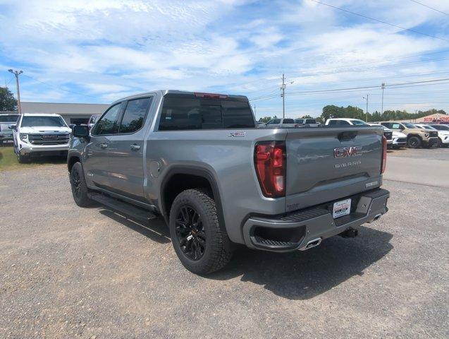 2025 GMC Sierra 1500 Vehicle Photo in ALBERTVILLE, AL 35950-0246