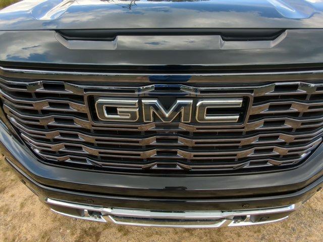 2025 GMC Sierra 1500 Vehicle Photo in ALBERTVILLE, AL 35950-0246