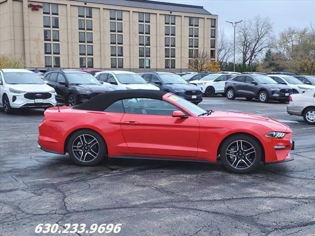 2019 Ford Mustang Vehicle Photo in Saint Charles, IL 60174