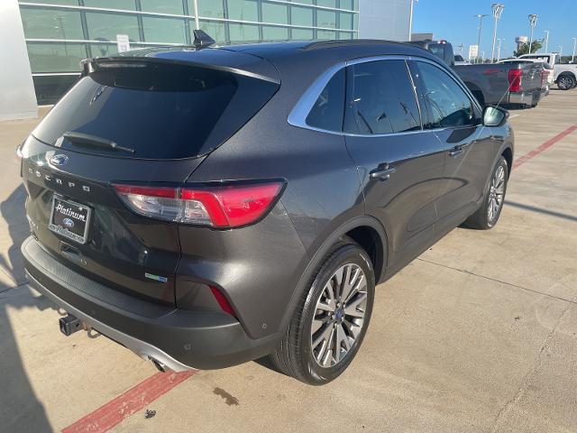 2020 Ford Escape Vehicle Photo in Terrell, TX 75160