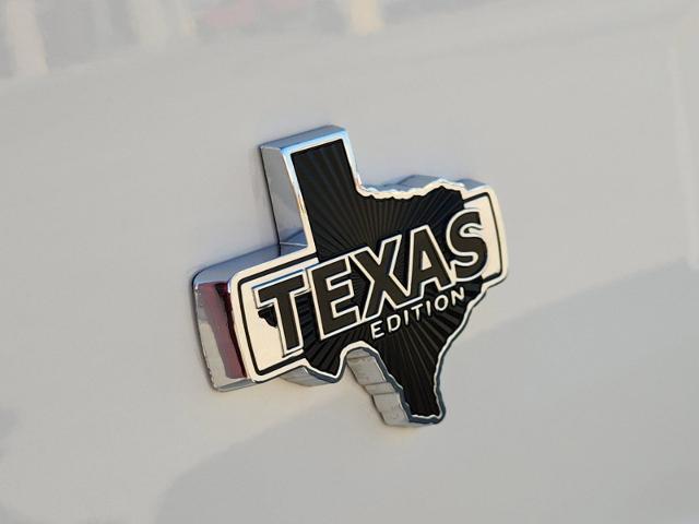 2024 Ford F-150 Vehicle Photo in Pilot Point, TX 76258