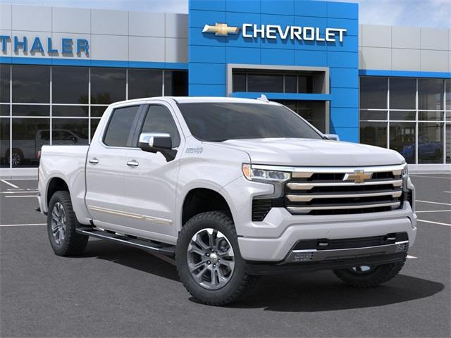 2024 Chevrolet Silverado 1500 Vehicle Photo in GLENWOOD, MN 56334-1123