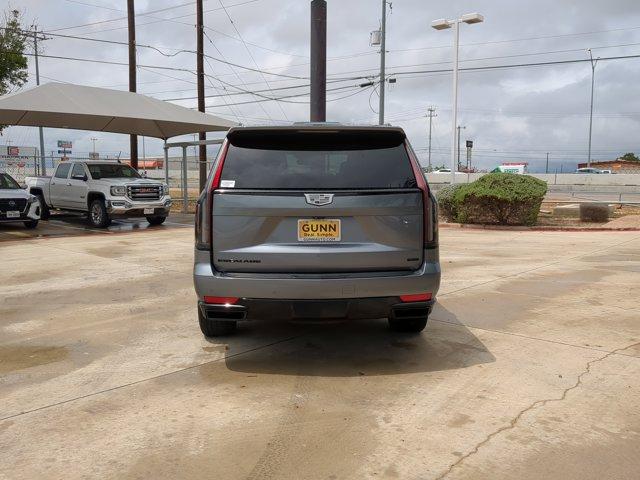 2022 Cadillac Escalade Vehicle Photo in SELMA, TX 78154-1459