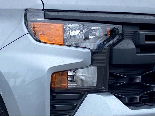 2025 Chevrolet Silverado 1500 Vehicle Photo in SAVANNAH, GA 31406-4513