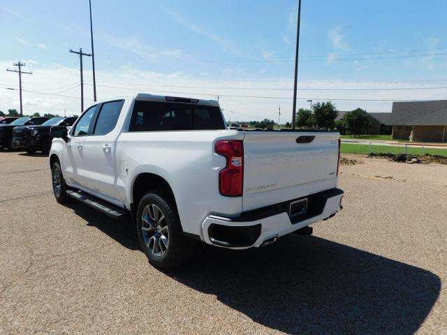 2024 Chevrolet Silverado 1500 Vehicle Photo in Weatherford, TX 76087