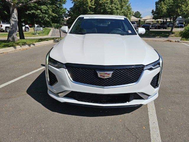 2021 Cadillac CT4 Vehicle Photo in LITTLETON, CO 80124-2754