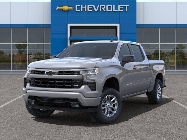 2024 Chevrolet Silverado 1500 Vehicle Photo in BEAUFORT, SC 29906-4218