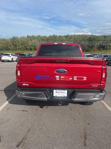 2021 Ford F-150 Vehicle Photo in Jackson, OH 45640-9766