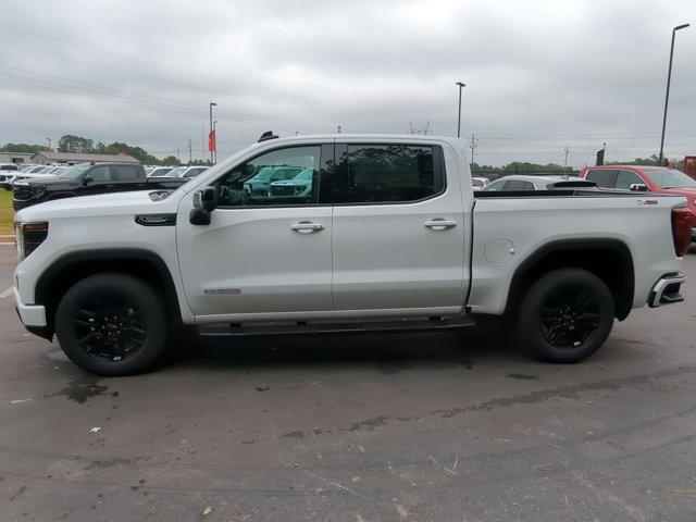 2025 GMC Sierra 1500 Vehicle Photo in ALBERTVILLE, AL 35950-0246