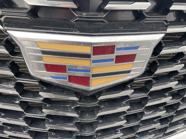 2021 Cadillac XT5 Vehicle Photo in WILLIAMSVILLE, NY 14221-4303