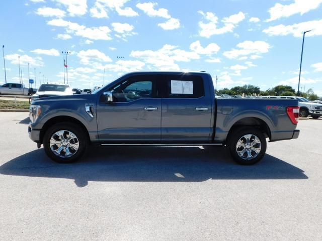 2022 Ford F-150 Vehicle Photo in Gatesville, TX 76528