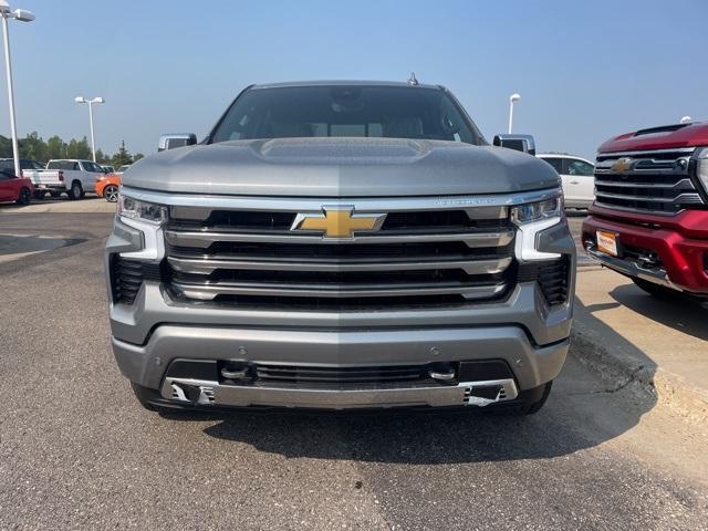 2025 Chevrolet Silverado 1500 Vehicle Photo in GLENWOOD, MN 56334-1123