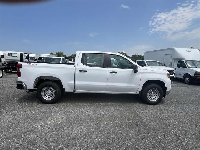 2024 Chevrolet Silverado 1500 Vehicle Photo in ALCOA, TN 37701-3235