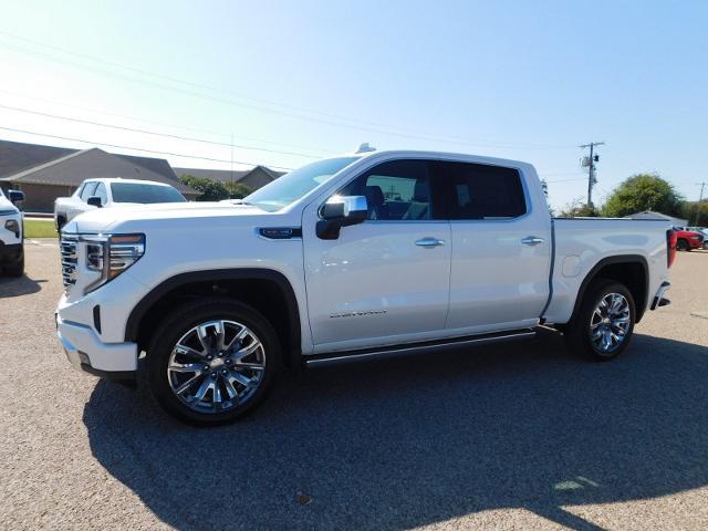 2025 GMC Sierra 1500 Vehicle Photo in GATESVILLE, TX 76528-2745