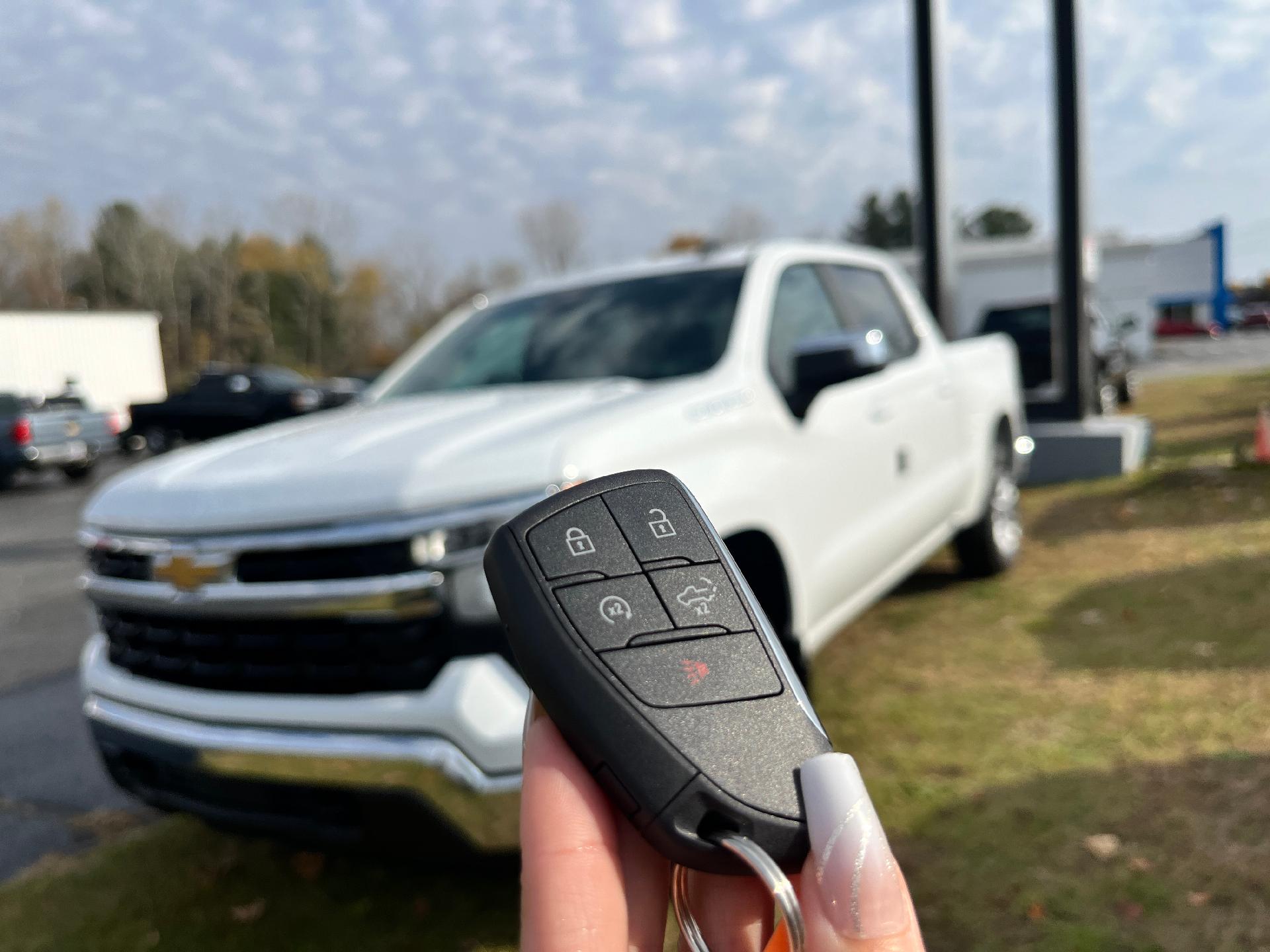 2025 Chevrolet Silverado 1500 Vehicle Photo in CLARE, MI 48617-9414