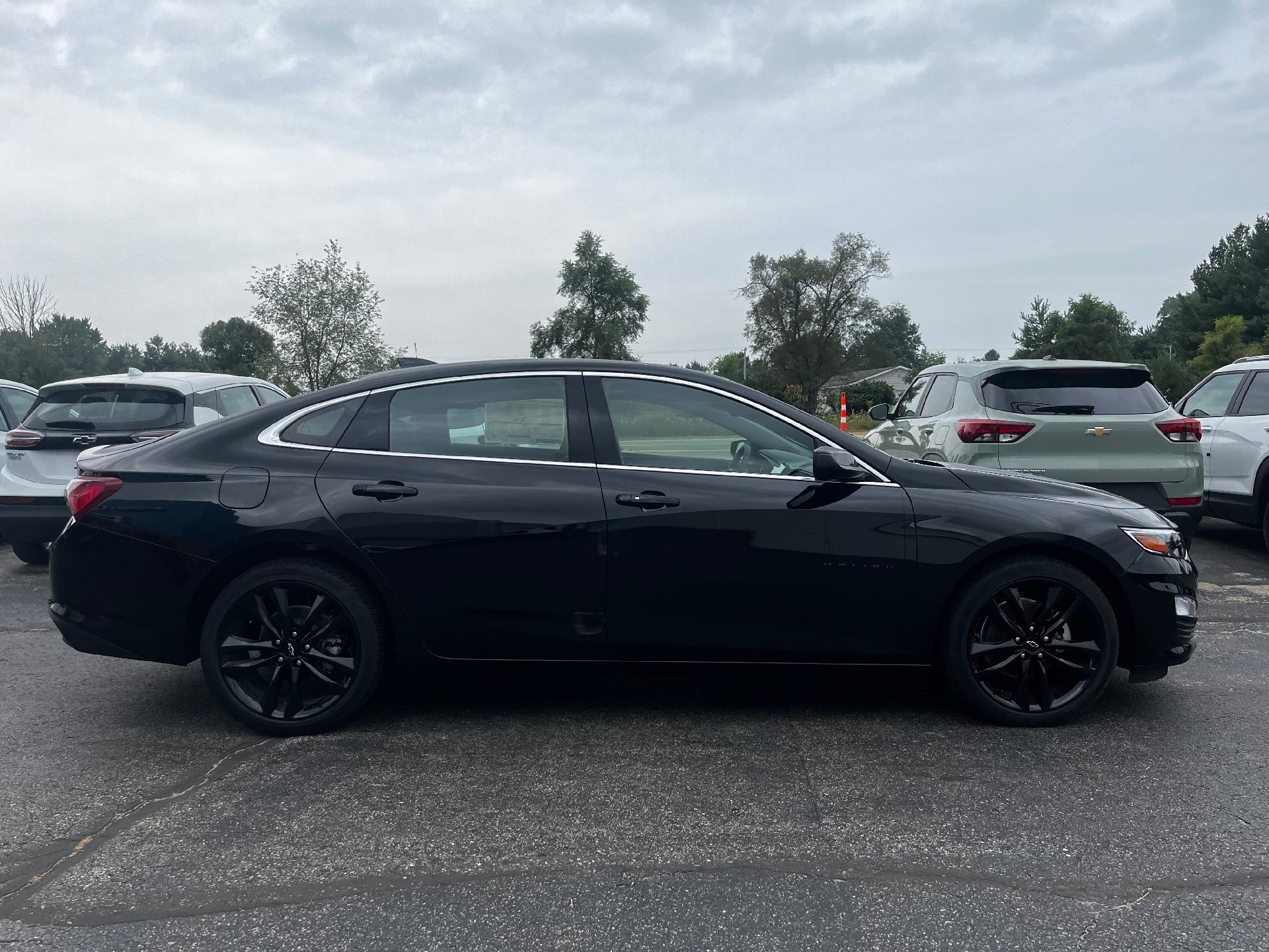 2024 Chevrolet Malibu Vehicle Photo in CLARE, MI 48617-9414