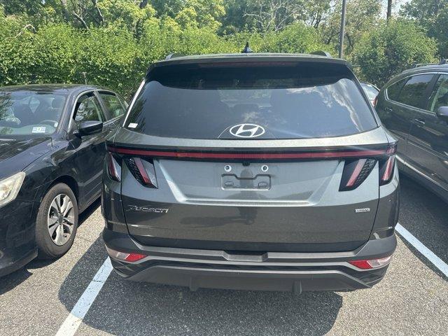 2023 Hyundai TUCSON Vehicle Photo in Flemington, NJ 08822