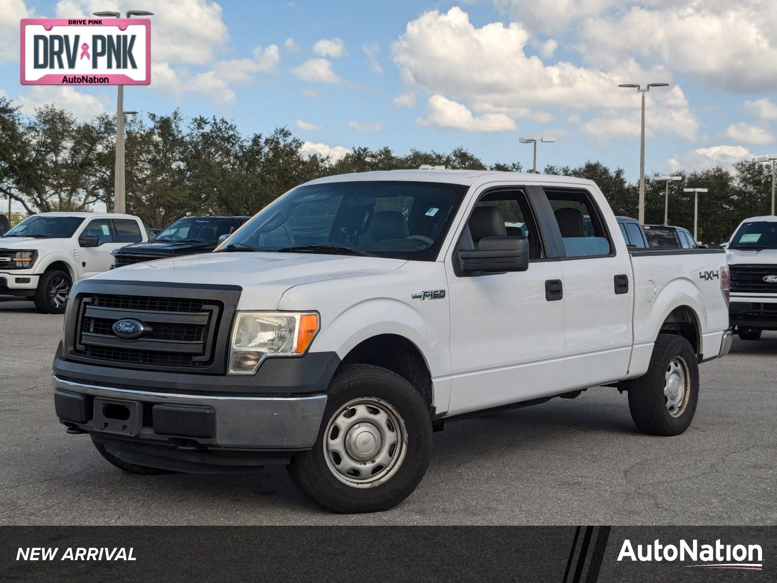 2014 Ford F-150 Vehicle Photo in St. Petersburg, FL 33713