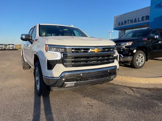 2025 Chevrolet Silverado 1500 Vehicle Photo in GLENWOOD, MN 56334-1123