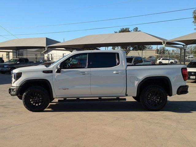 2023 GMC Sierra 1500 Vehicle Photo in SELMA, TX 78154-1459