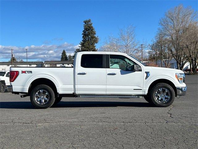 2023 Ford F-150 Vehicle Photo in BEND, OR 97701-5133