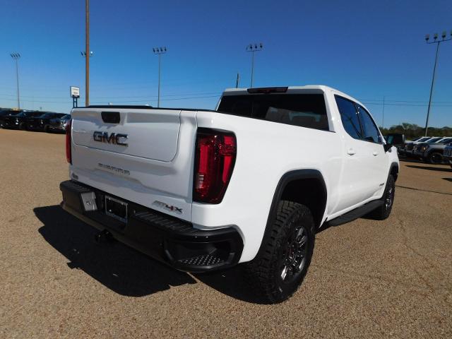 2025 GMC Sierra 1500 Vehicle Photo in GATESVILLE, TX 76528-2745