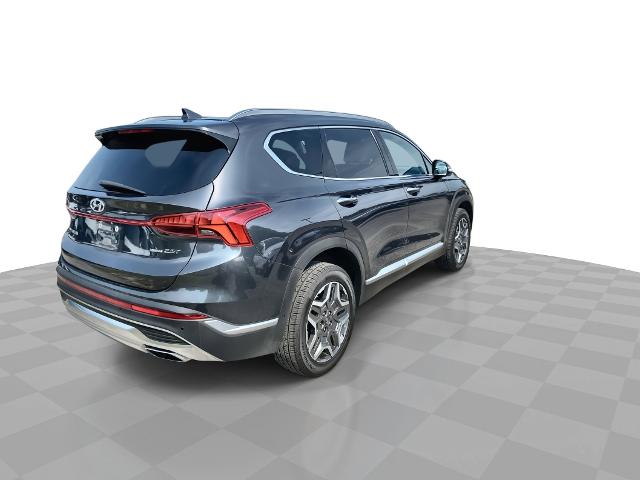 2022 Hyundai SANTA FE Vehicle Photo in WILLIAMSVILLE, NY 14221-2883