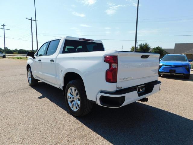 2024 Chevrolet Silverado 1500 Vehicle Photo in GATESVILLE, TX 76528-2745