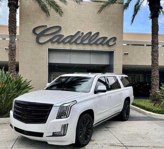 2018 Cadillac Escalade ESV Vehicle Photo in DELRAY BEACH, FL 33483-3294