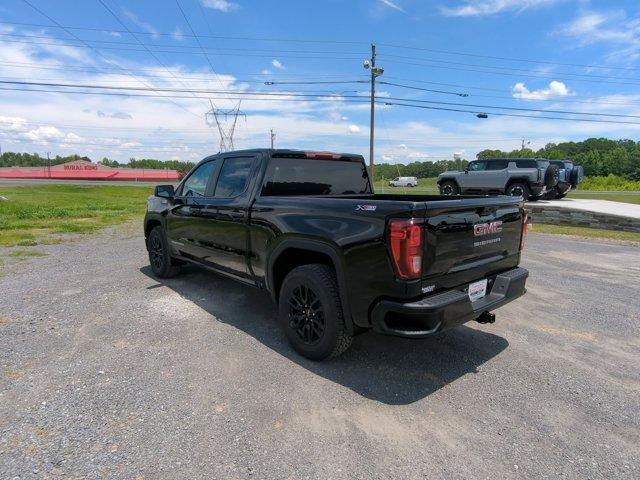 2024 GMC Sierra 1500 Vehicle Photo in ALBERTVILLE, AL 35950-0246