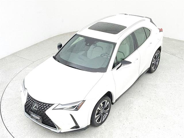 2022 Lexus UX 200 Vehicle Photo in Grapevine, TX 76051