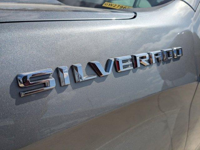 2023 Chevrolet Silverado 1500 Vehicle Photo in SELMA, TX 78154-1459