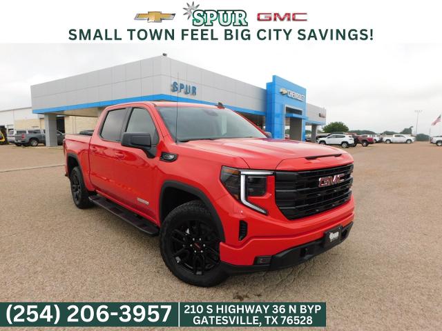 2024 GMC Sierra 1500 Vehicle Photo in GATESVILLE, TX 76528-2745