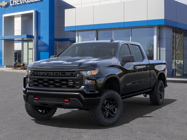 2024 Chevrolet Silverado 1500 Vehicle Photo in DANBURY, CT 06810-5034