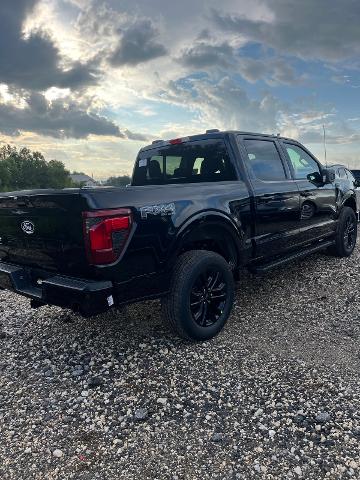 2024 Ford F-150 Vehicle Photo in STEPHENVILLE, TX 76401-3713