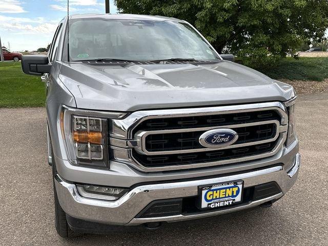 2022 Ford F-150 Vehicle Photo in GREELEY, CO 80634-4125