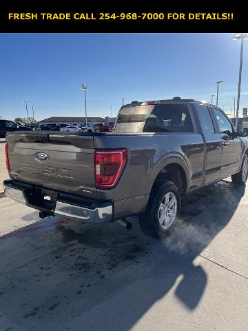 2022 Ford F-150 Vehicle Photo in STEPHENVILLE, TX 76401-3713