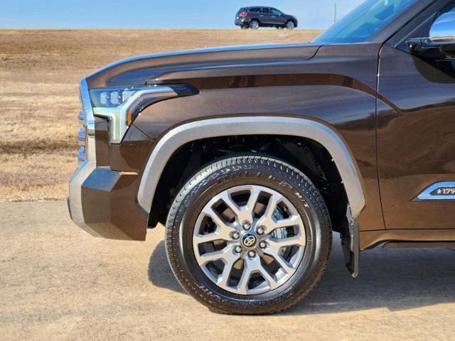 2025 Toyota Tundra 2WD Vehicle Photo in Denison, TX 75020