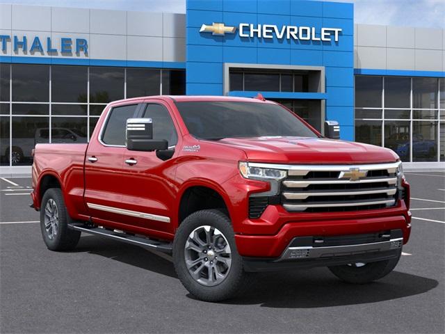 2025 Chevrolet Silverado 1500 Vehicle Photo in GLENWOOD, MN 56334-1123