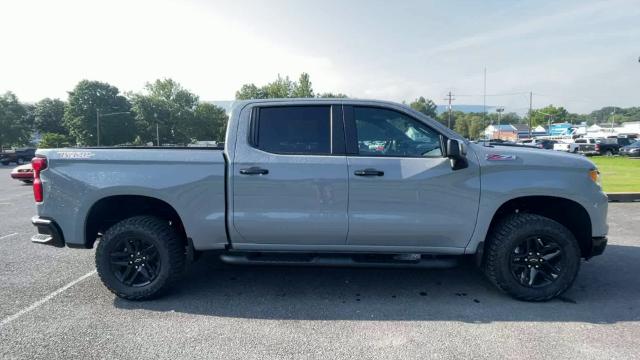 2024 Chevrolet Silverado 1500 Vehicle Photo in THOMPSONTOWN, PA 17094-9014