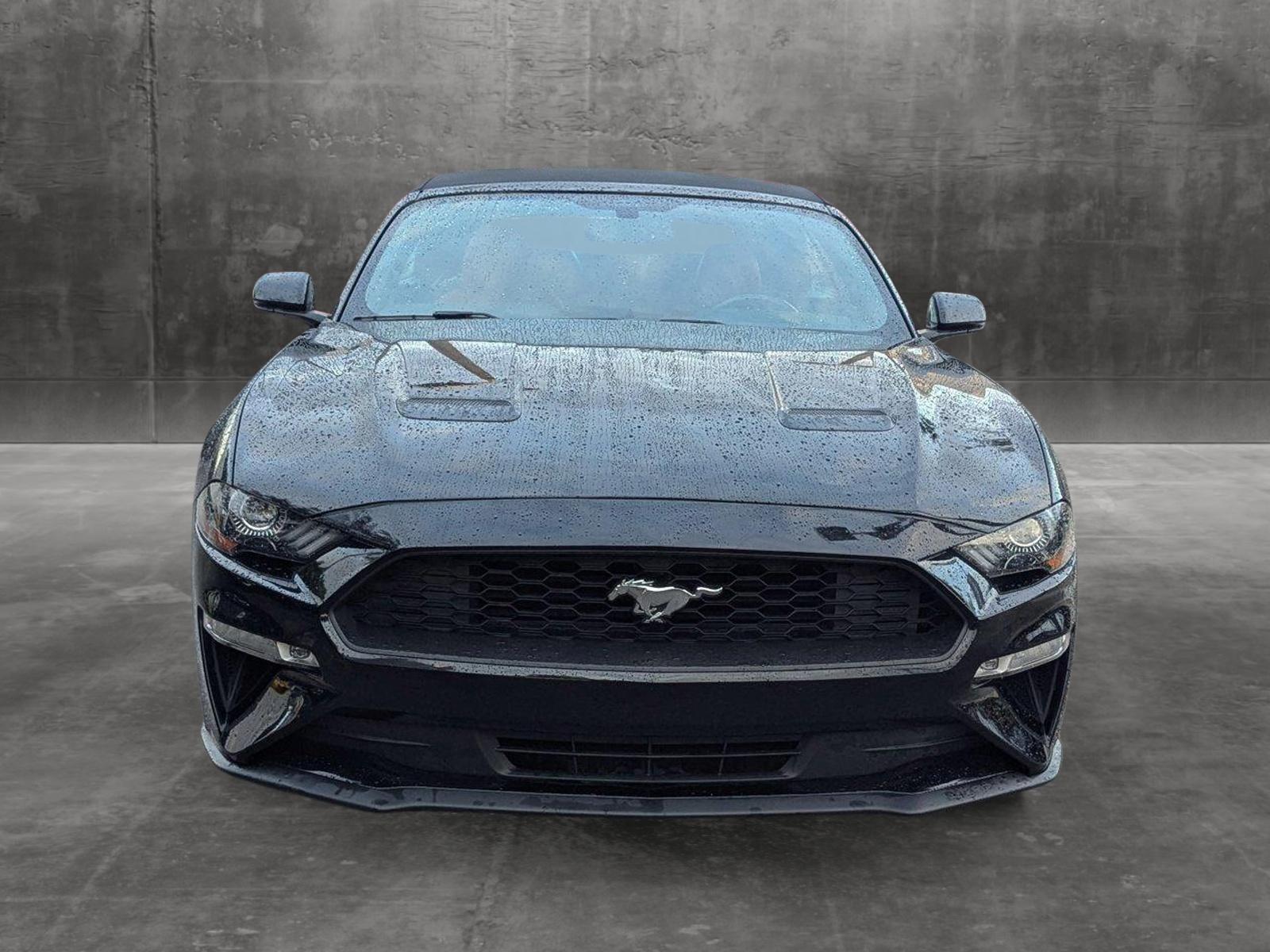 2019 Ford Mustang Vehicle Photo in Miami, FL 33015