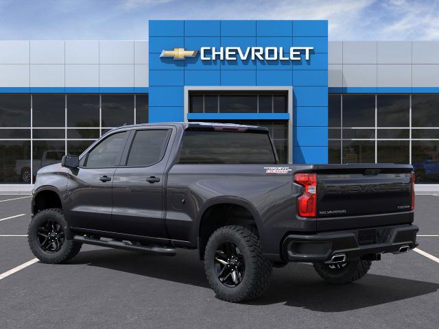 2024 Chevrolet Silverado 1500 Vehicle Photo in POST FALLS, ID 83854-5365