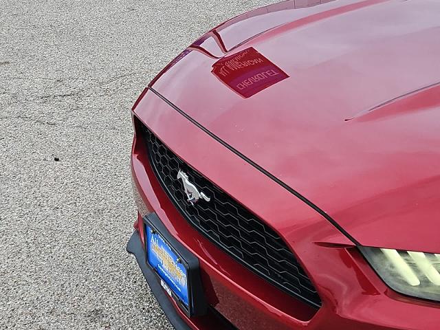 2017 Ford Mustang Vehicle Photo in SAN ANGELO, TX 76903-5798