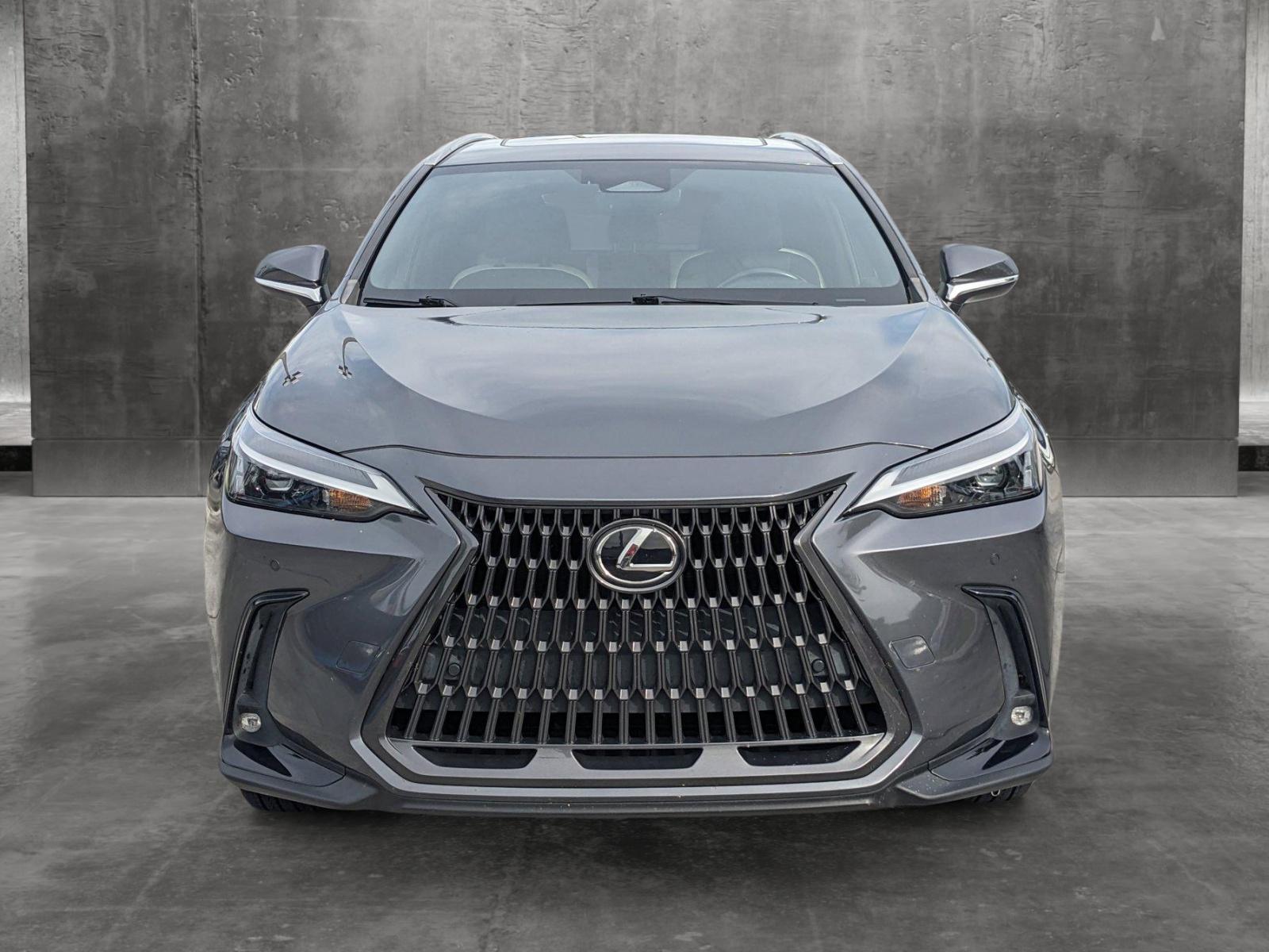 2022 Lexus NX 250 Vehicle Photo in MIAMI, FL 33172-3015