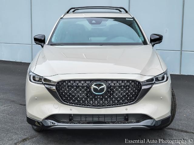 2025 Mazda CX-5 Vehicle Photo in Plainfield, IL 60586