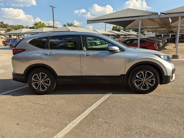 2022 Honda CR-V Vehicle Photo in San Antonio, TX 78230