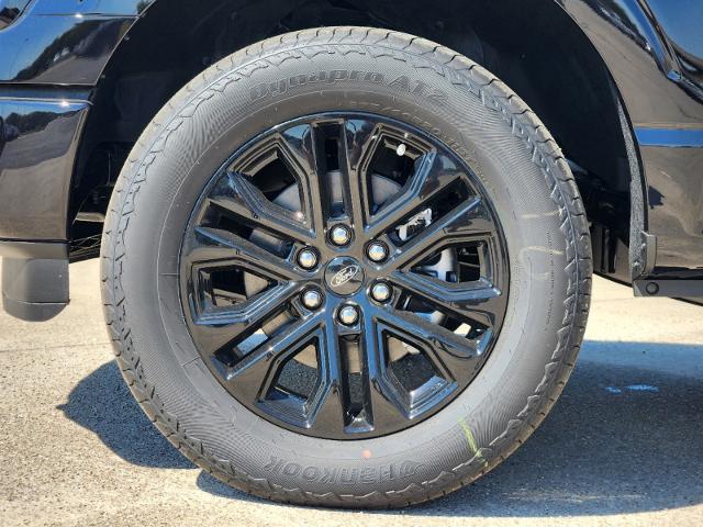 2024 Ford F-150 Vehicle Photo in Pilot Point, TX 76258